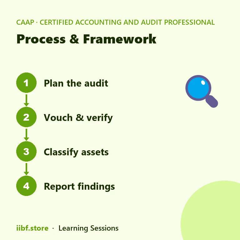 Process & Framework — Certified Accounting and Audit Professional