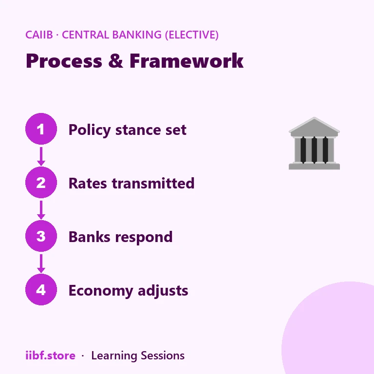 Process & Framework — Central Banking (Elective)