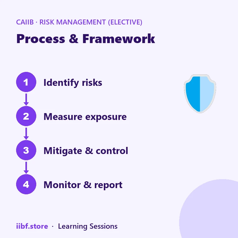 Process & Framework — Risk Management (Elective)