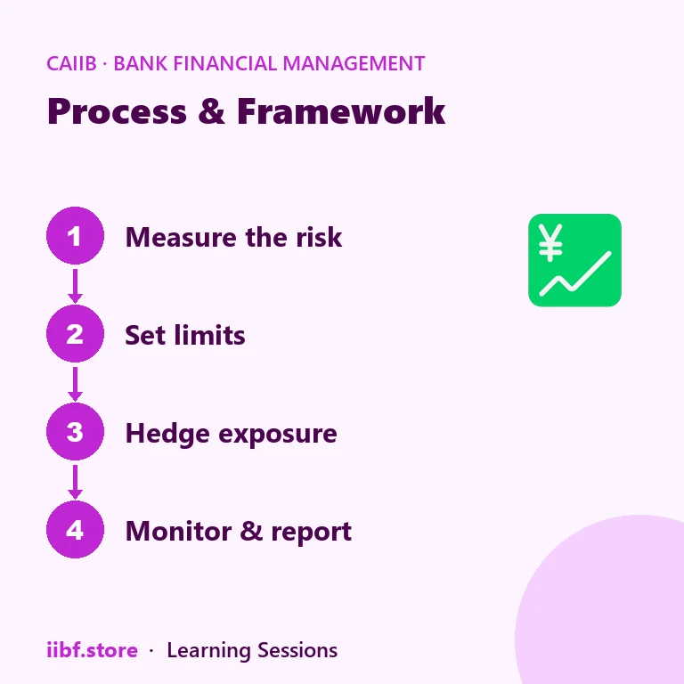 Process & Framework — Bank Financial Management