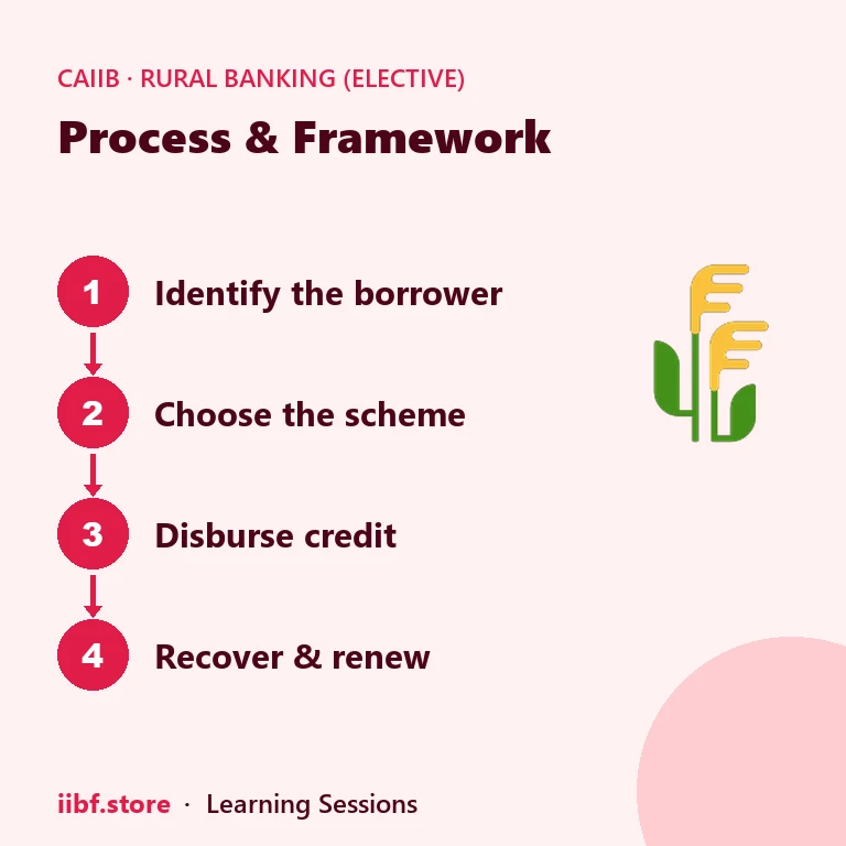 Process & Framework — Rural Banking (Elective)