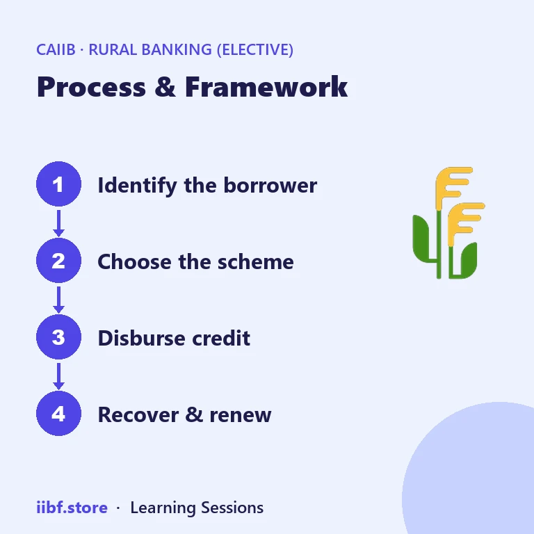 Process & Framework — Rural Banking (Elective)