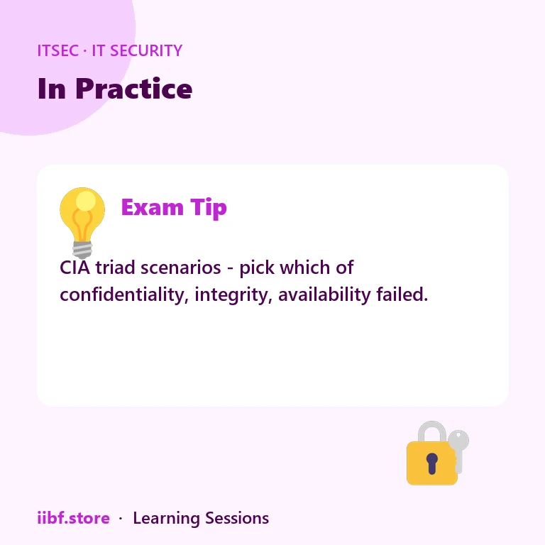In Practice — IT Security
