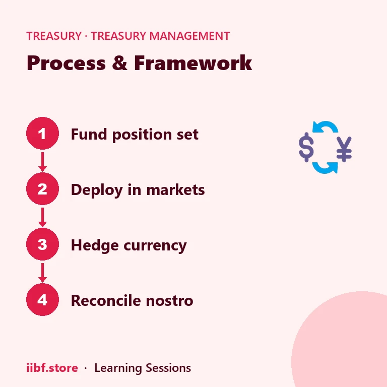 Process & Framework — Treasury Management