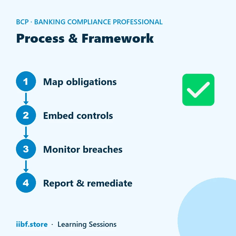 Process & Framework — Banking Compliance Professional