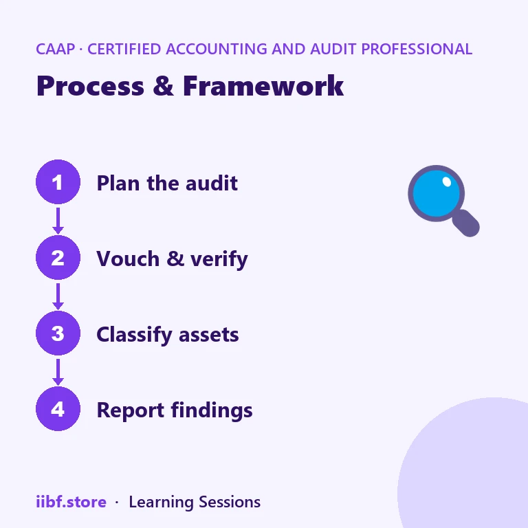 Process & Framework — Certified Accounting and Audit Professional