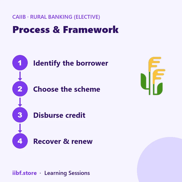 Process & Framework — Rural Banking (Elective)