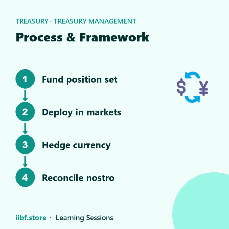Process & Framework — Treasury Management