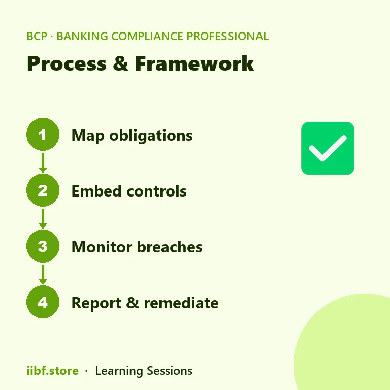 Process & Framework — Banking Compliance Professional