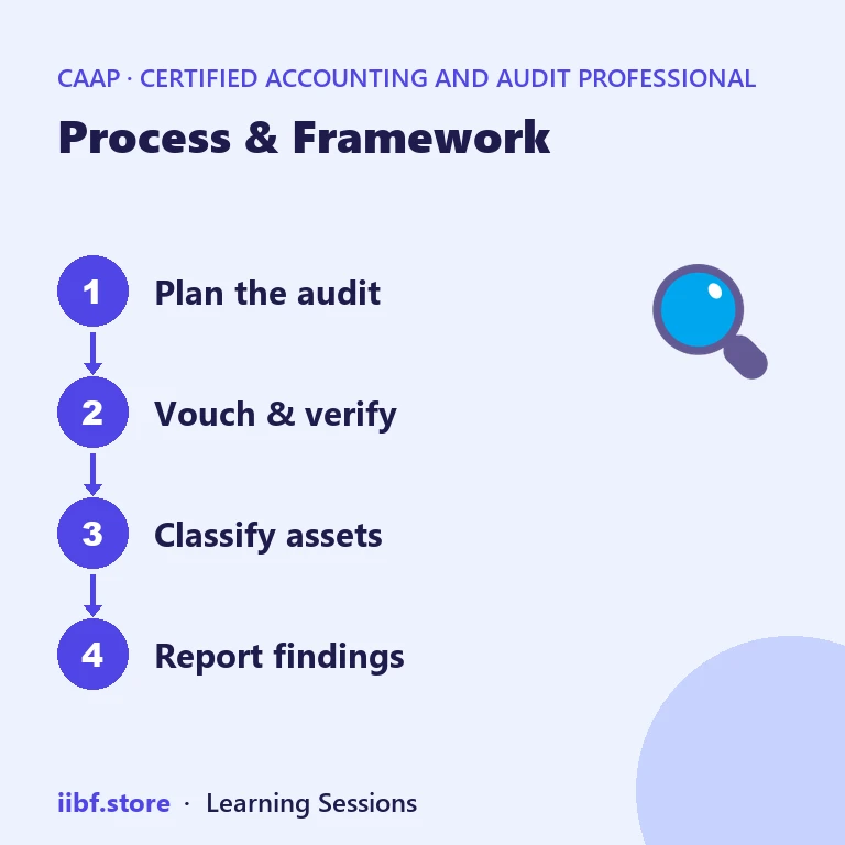 Process & Framework — Certified Accounting and Audit Professional