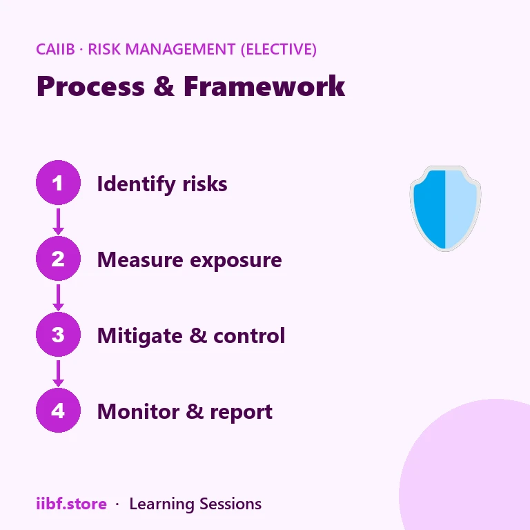 Process & Framework — Risk Management (Elective)