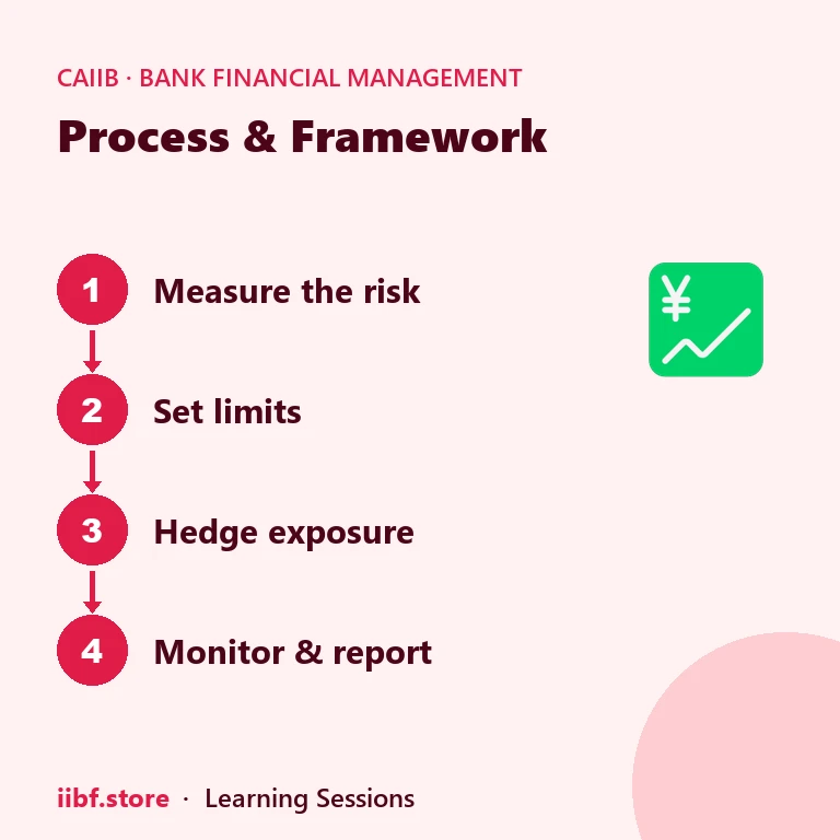 Process & Framework — Bank Financial Management