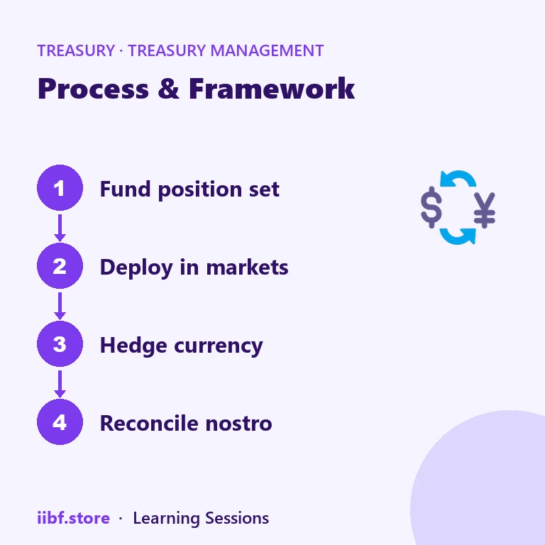 Process & Framework — Treasury Management