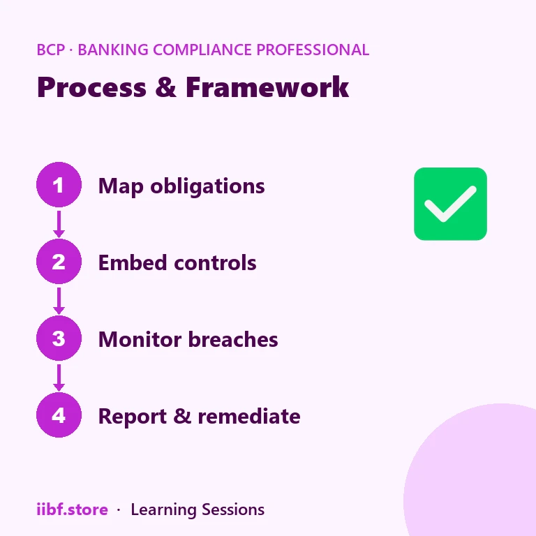 Process & Framework — Banking Compliance Professional