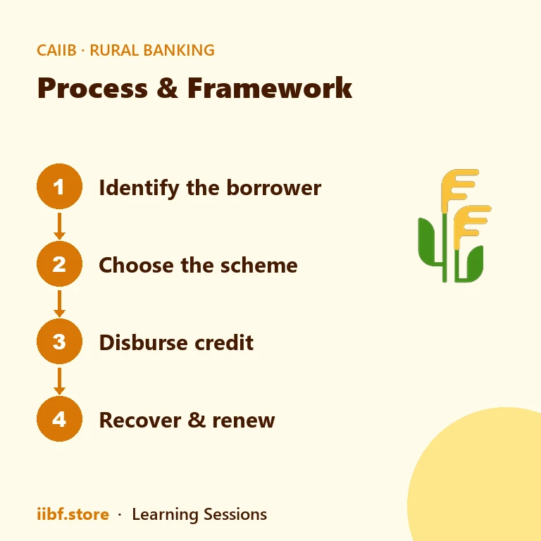Process & Framework — Rural Banking (Elective)