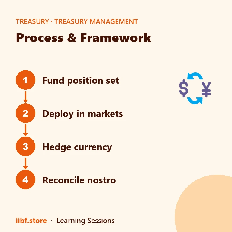 Process & Framework — Treasury Management
