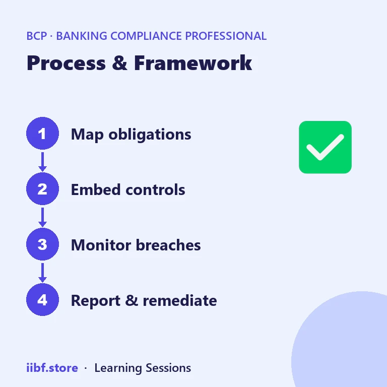Process & Framework — Banking Compliance Professional