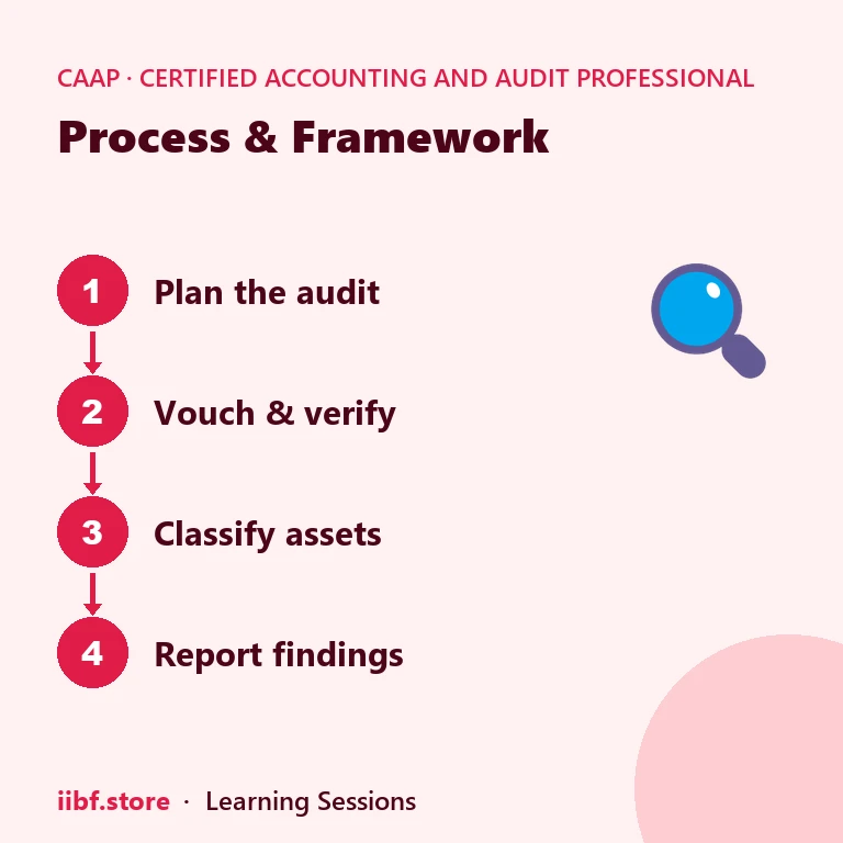 Process & Framework — Certified Accounting and Audit Professional