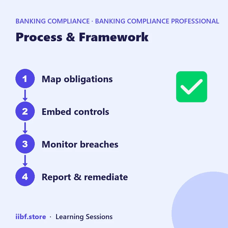Process & Framework — Banking Compliance Professional
