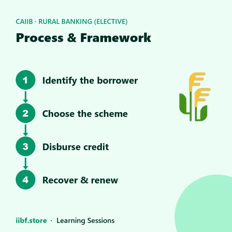 Process & Framework — Rural Banking (Elective)