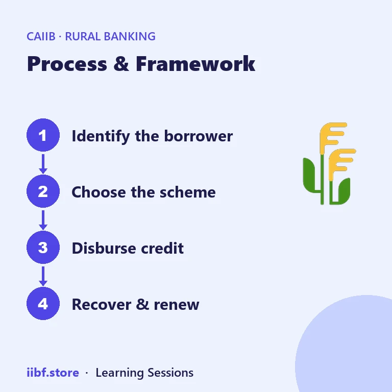 Process & Framework — Rural Banking (Elective)