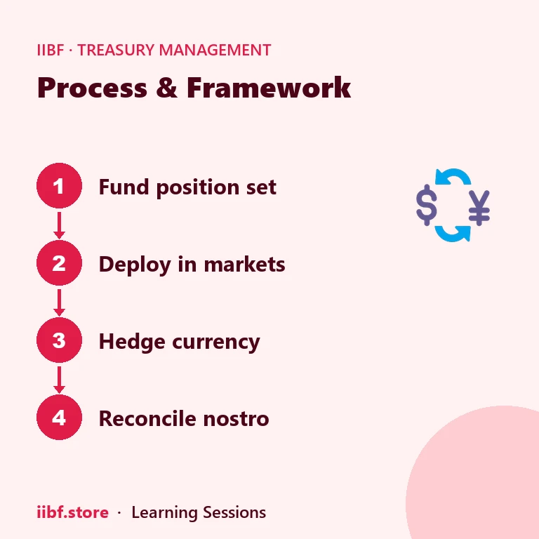 Process & Framework — Treasury Management