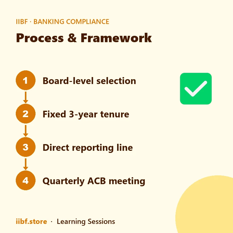 Four step strip showing board level selection, fixed three year tenure, direct reporting line and quarterly ACB meeting