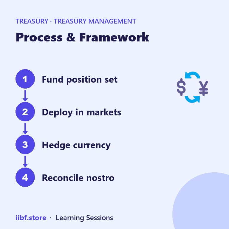 Process & Framework — Treasury Management