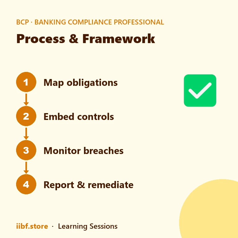 Process & Framework — Banking Compliance Professional