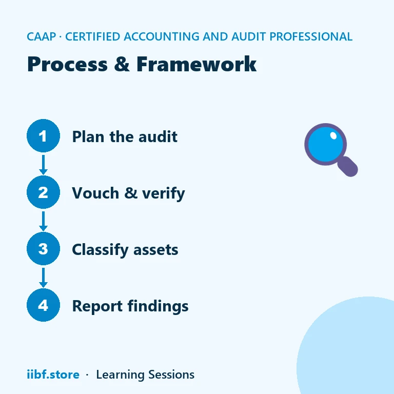 Process & Framework — Certified Accounting and Audit Professional