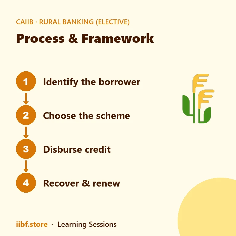 Process & Framework — Rural Banking (Elective)