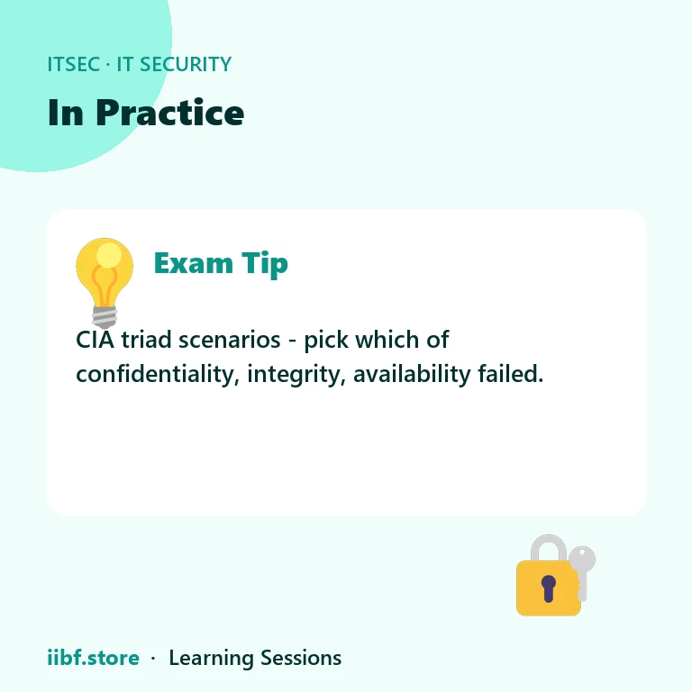 In Practice — IT Security
