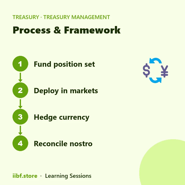Process & Framework — Treasury Management