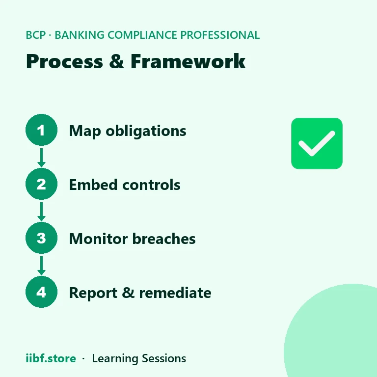 Process & Framework — Banking Compliance Professional