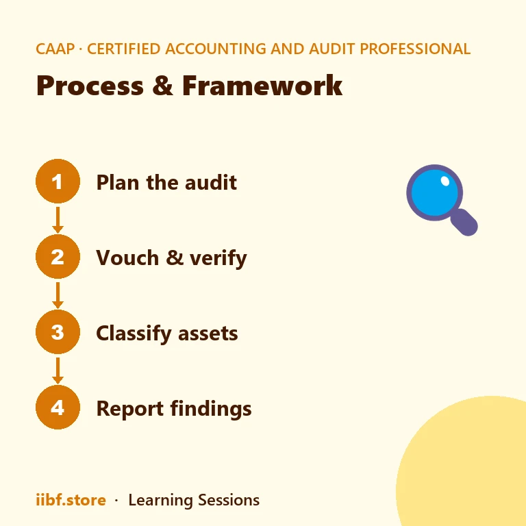 Process & Framework — Certified Accounting and Audit Professional