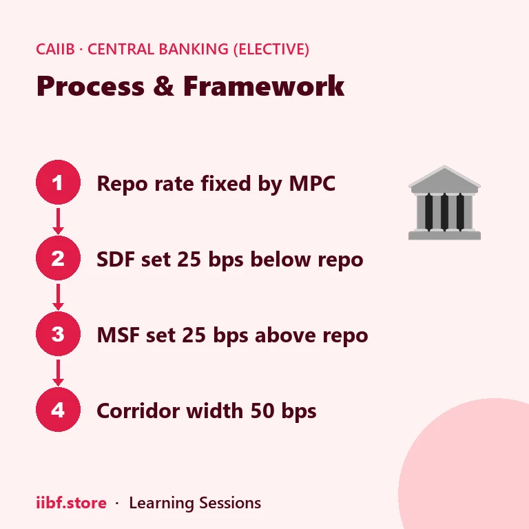 Process & Framework — Central Banking (Elective)