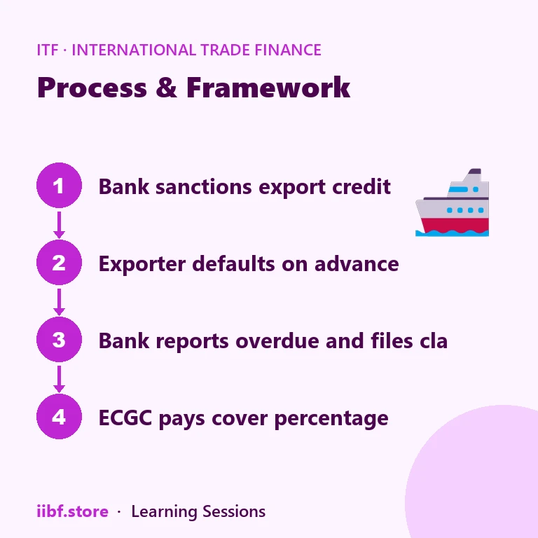Process & Framework — International Trade Finance