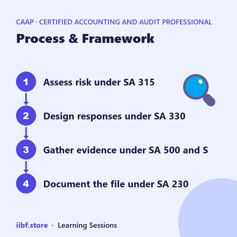 Process & Framework — Certified Accounting and Audit Professional
