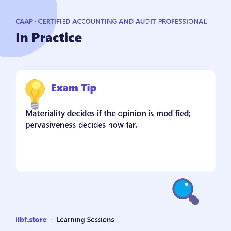 In Practice — Certified Accounting and Audit Professional