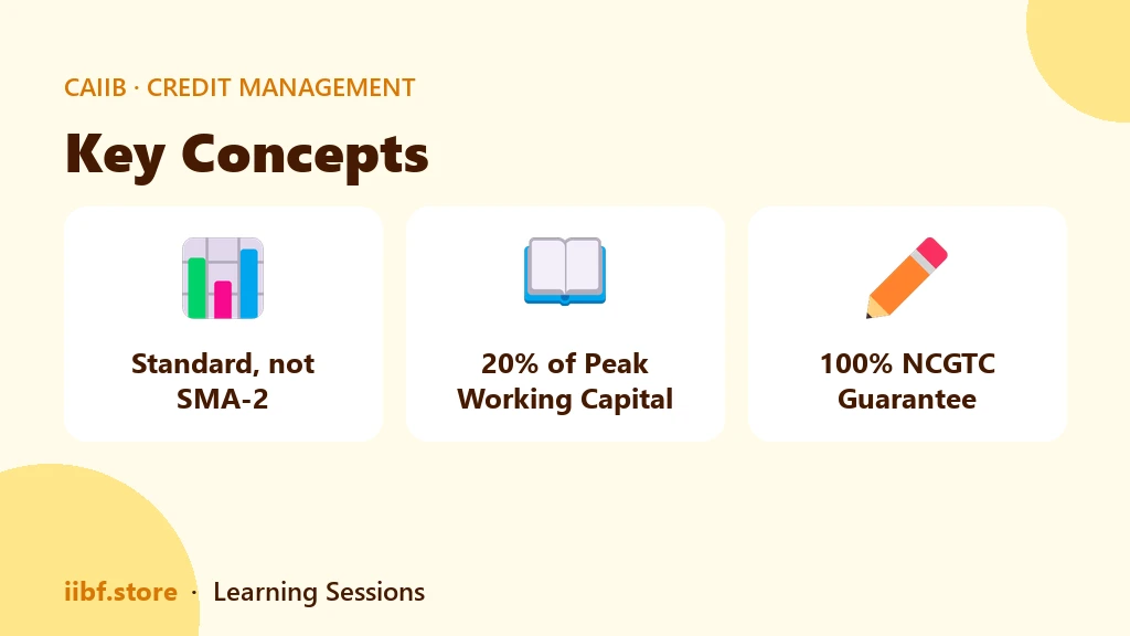 Three key concepts of the ECLGS 5.0 scheme for CAIIB ABM