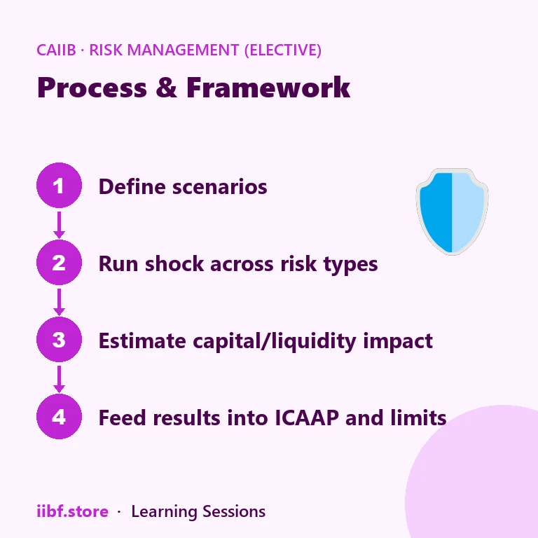 Process और Framework — Risk Management (Elective)