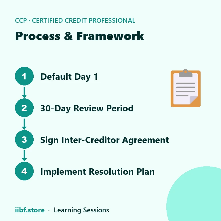 Process & Framework — Certified Credit Professional