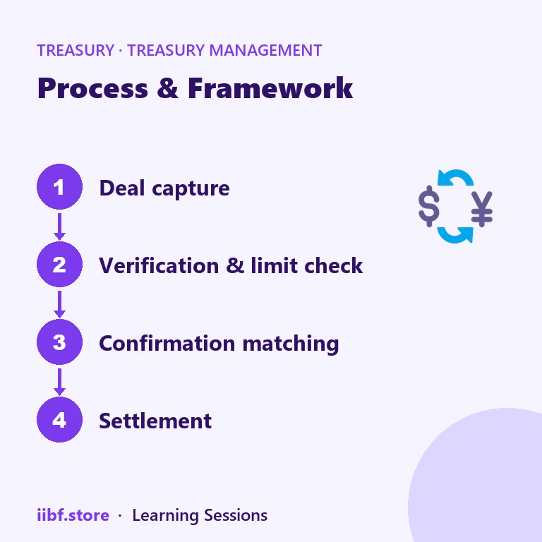 Process & Framework — Treasury Management
