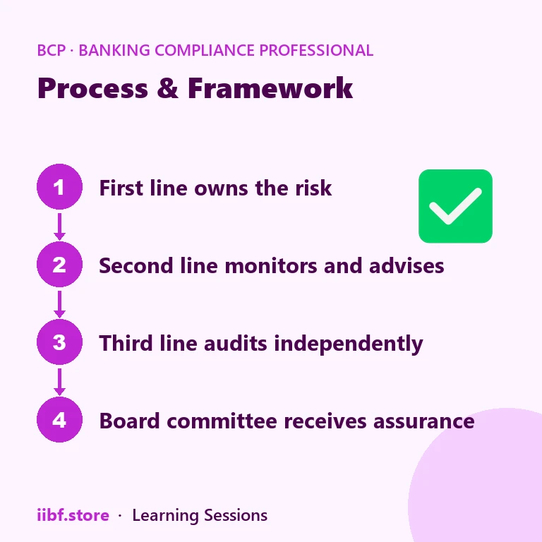 Process & Framework — Banking Compliance Professional