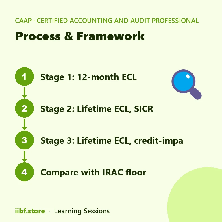 Process & Framework — Certified Accounting and Audit Professional