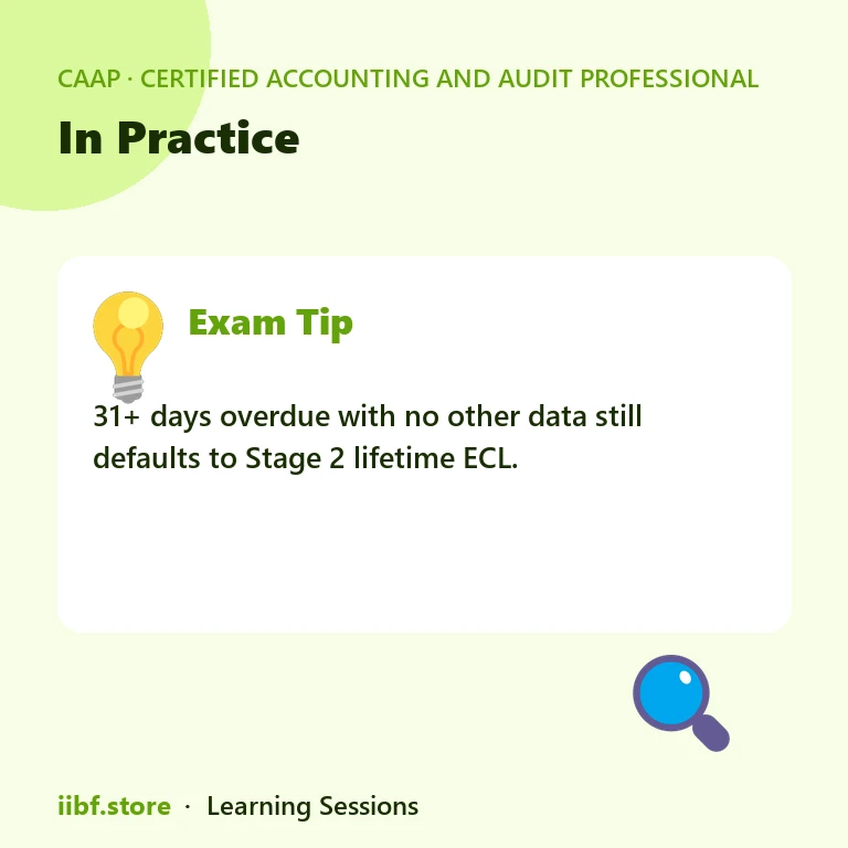 In Practice — Certified Accounting and Audit Professional